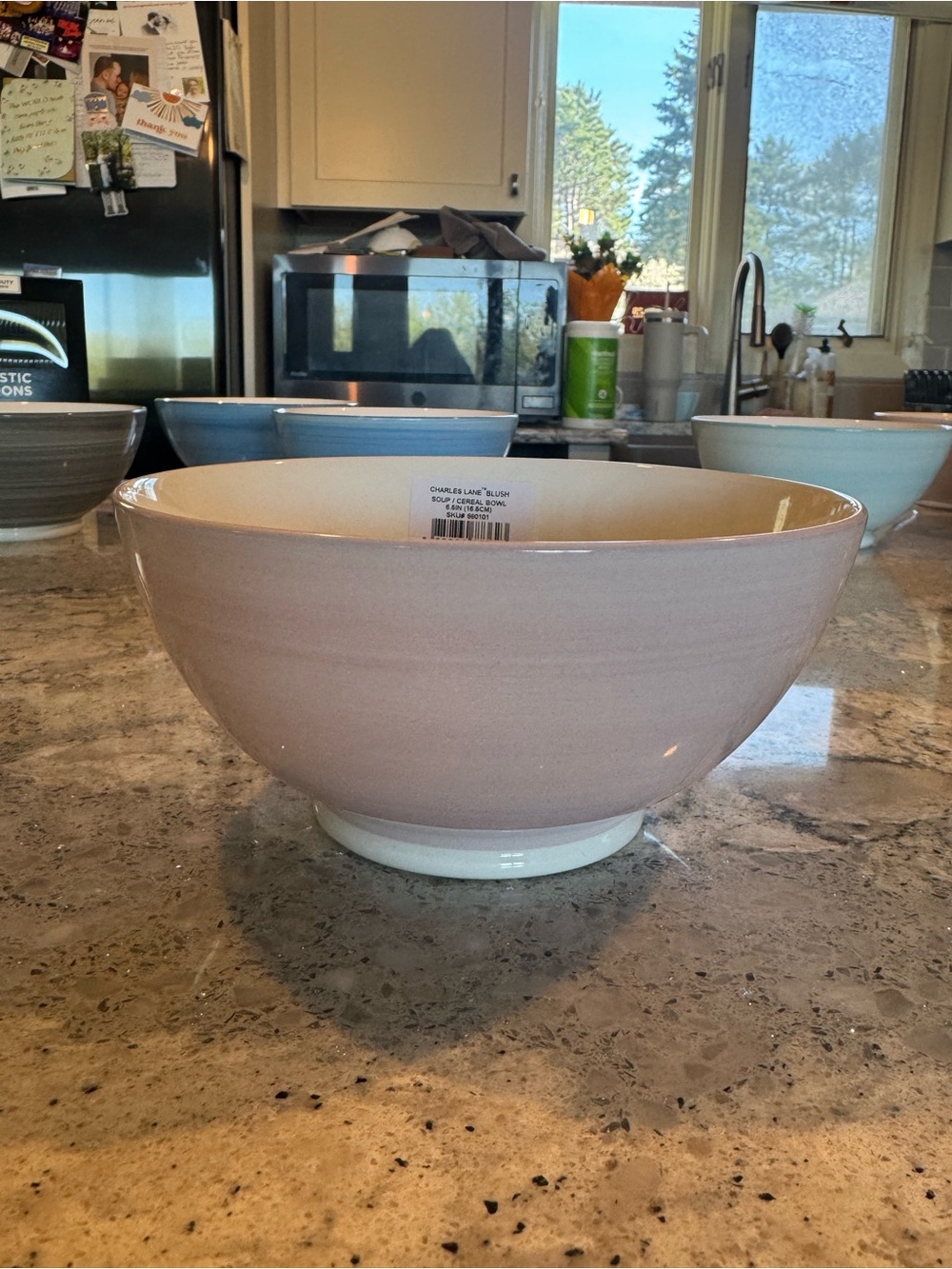 NWT Charles Lane kate spade cereal bowls